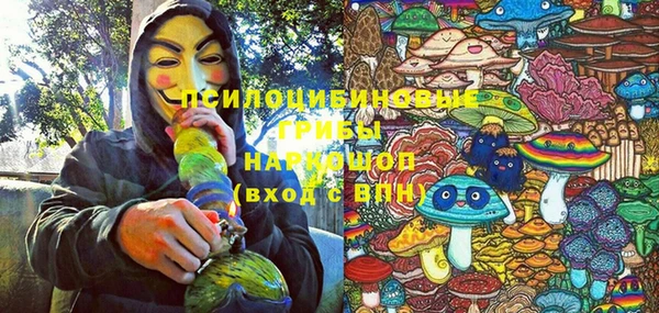 индика Навашино