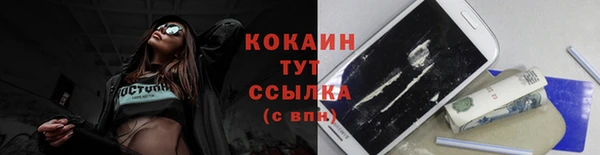 индика Навашино