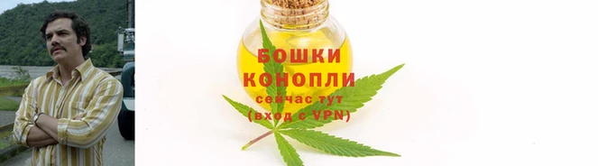 индика Навашино
