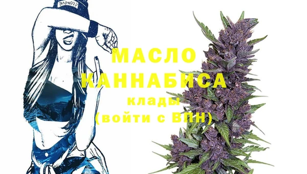 индика Навашино