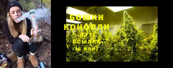 индика Навашино