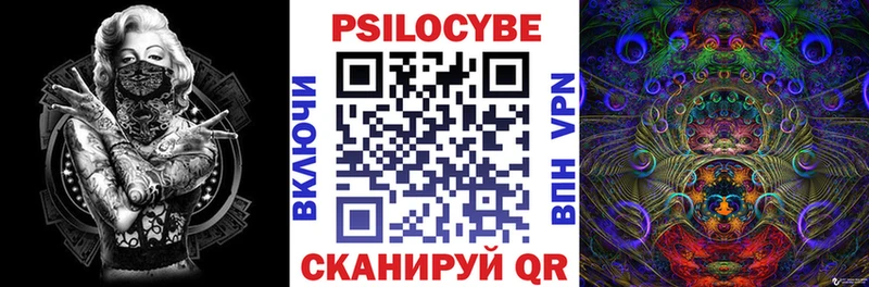 закладка  Кореновск  Галлюциногенные грибы Cubensis 