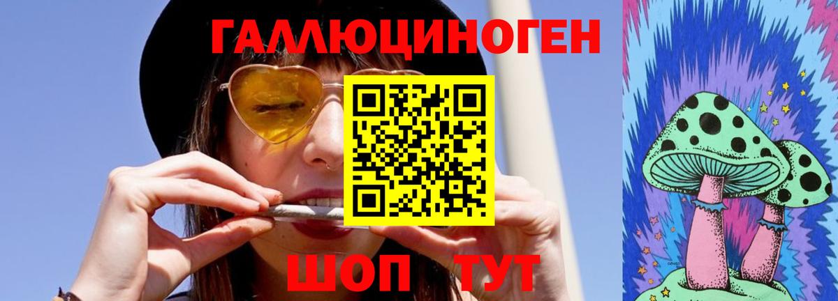 Псилоцибиновые грибы Cubensis Кореновск