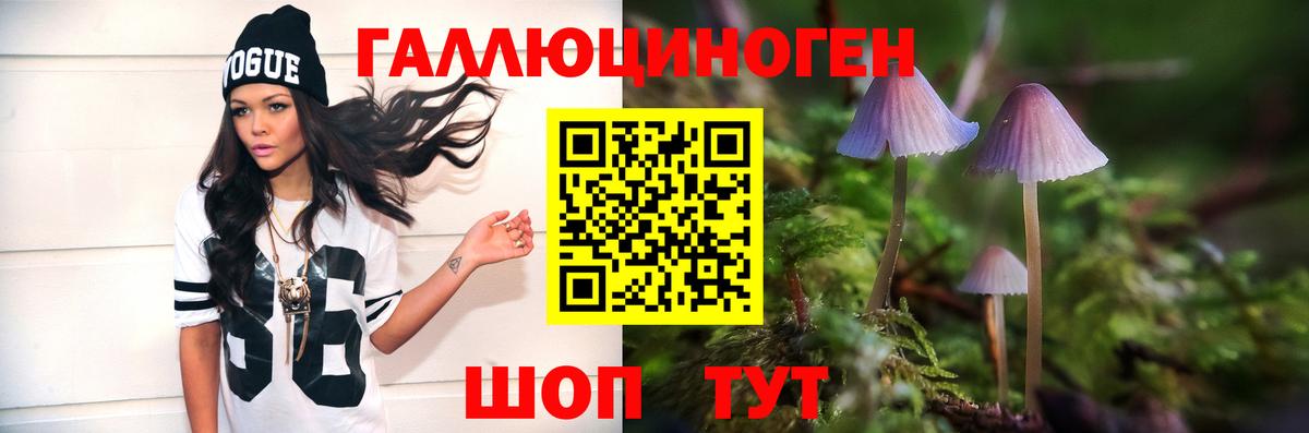 Псилоцибиновые грибы MAGIC MUSHROOMS  Вход с VPN  Кореновск 